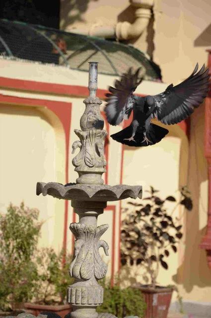 Rawla Mrignayani Palace Divisione di Divisione di Jaipur Esterno foto